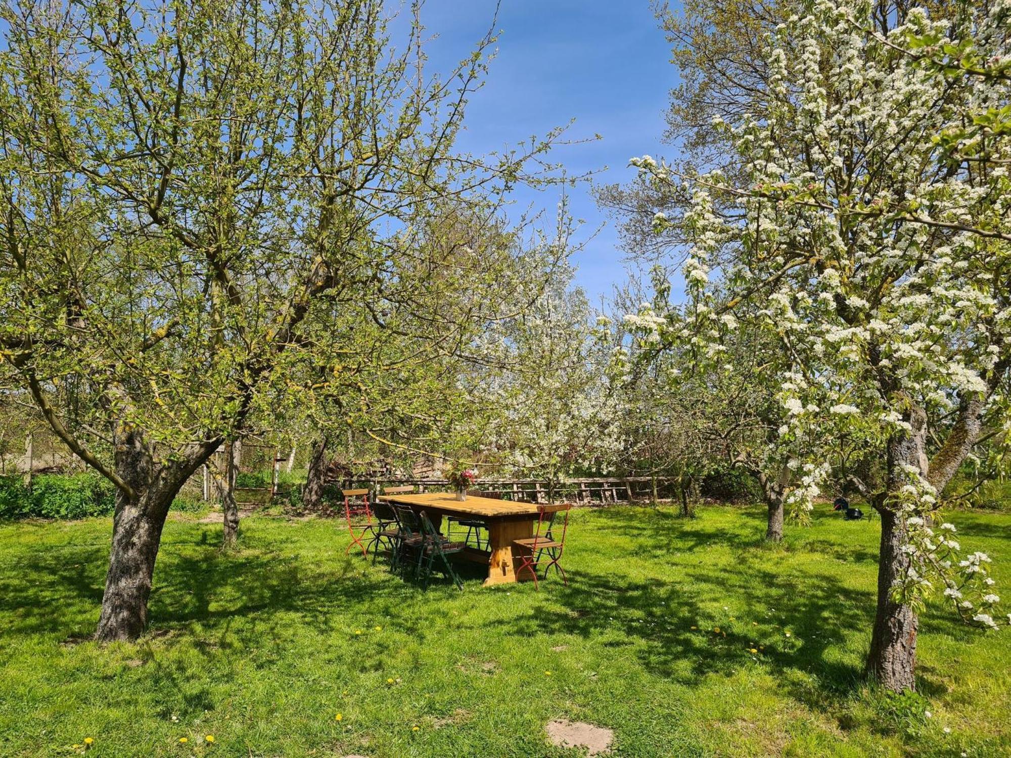 Krusenhagen Renovated Apartment In The Old Farmhouse מראה חיצוני תמונה
